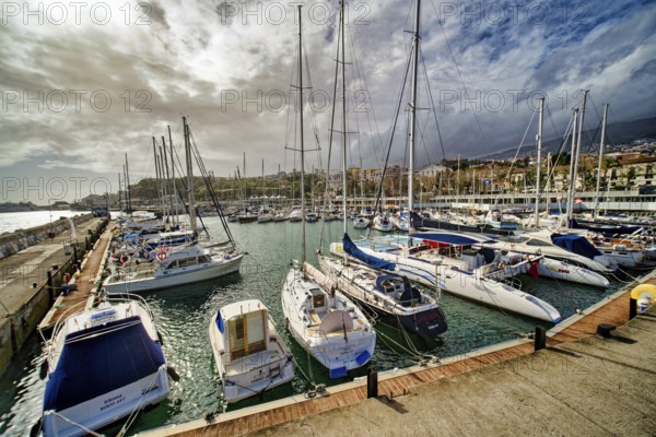 Sailing ships in the marina with the panorama of Funchal, Funchal, Madeira, Portugal, Europe