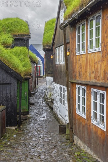 Cobbled alley and traditional wooden houses with turf roofs at Tinganes, the old town of Tórshavn, capital city on the island Streymoy, Faroe Islands, Europe