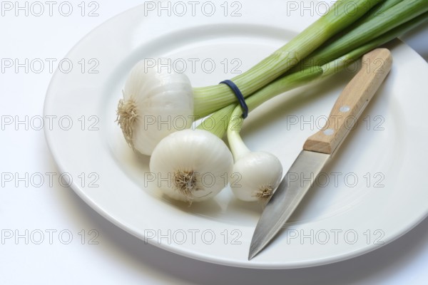 Onion, spring onions and knife on plate