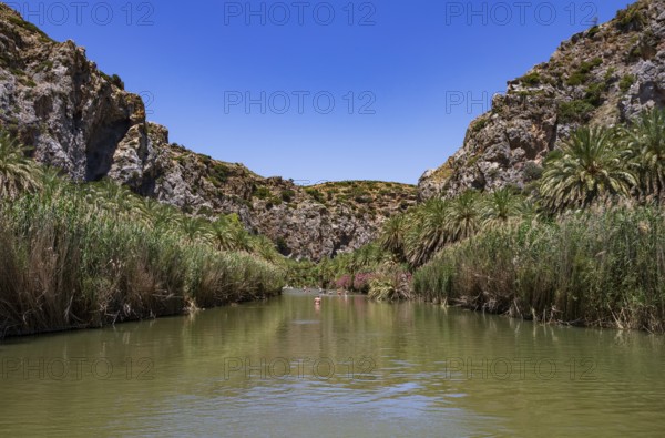 Preveli Beach, Kourtaliatiko Gorge with palm grove, south coast, Crete, Greece, Europe