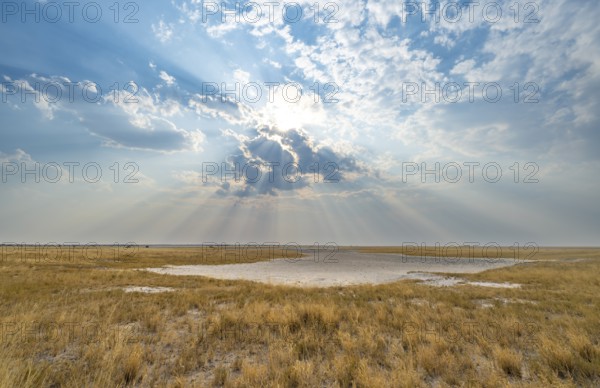 Plain with dry yellow grass, dramatic clouds with sunbeams, Nxai Pan National Park, Botswana, Africa