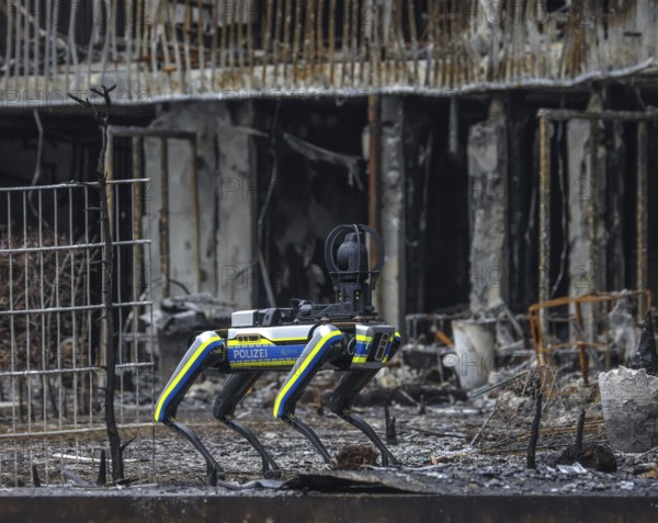 Essen, North Rhine-Westphalia, Germany, major fire in Essen's Weststadt district. The ruins of the apartment block in Bargmannstrasse are not allowed to be entered due to the risk of collapse. The 35-kilo robot dog HERBIE is therefore tasked with inspecting the inside of the building using a 360-degree camera, a thermal imaging camera and a laser scanner. The new building from 2015 had modern fire doors. The fire affected 39 flats with around 100 tenants, Europe