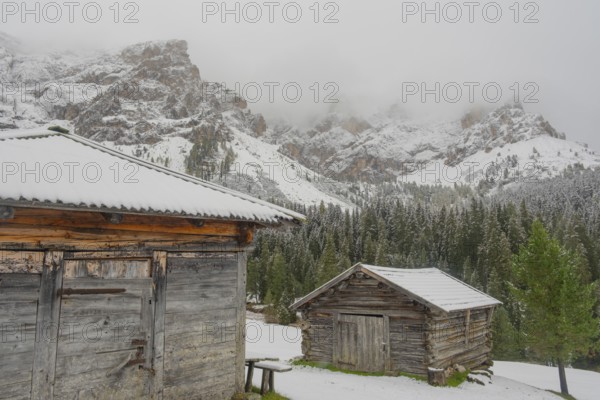 Huts on an alpine meadow at the foot of the Peitlerkofel in the snow, Passo delle Erbe, Würzjoch, St. Magdalena, Villnöß, Funes, Villnößtal, South Tyrol, Italy, Europe