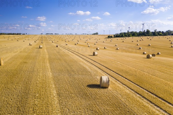 Straw bales on a harvested grain field from above, Nossen, Saxony, Germany, Europe
