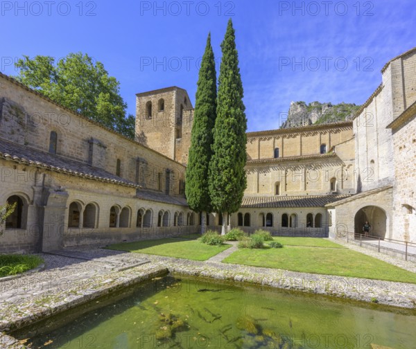 Fish pond and cloister in the abbey of Gellone, also Saint-Guilhem-le-Désert monastery, Département Hérault, France, Europe
