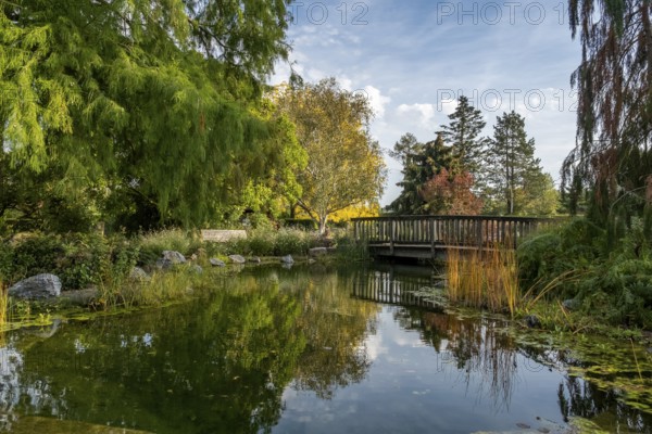 District educational garden, demonstration garden and school garden, Burgsteinfurt, Steinfurt, Münsterland, North Rhine-Westphalia, Germany, Europe