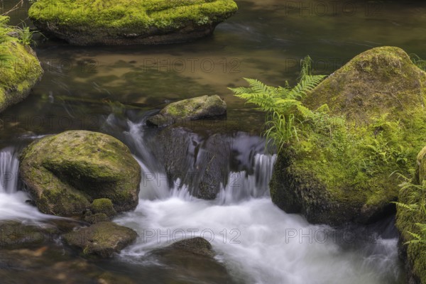 Flowing, silky water with ferns and rocks in the Edmunds Gorge, river Kamnitz, Hrensko, Ustecky kraj, Czech Republic, Europe