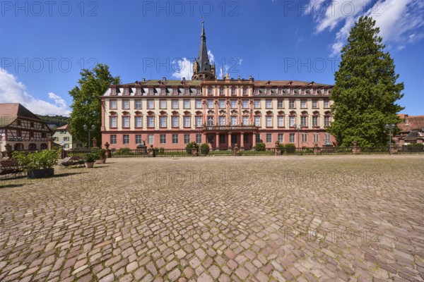 Erbach Castle, trees, cobblestone square, blue sky with cumulus clouds, market square, Erbach, Odenwald, Odenwaldkreis, Hesse, Germany, Europe