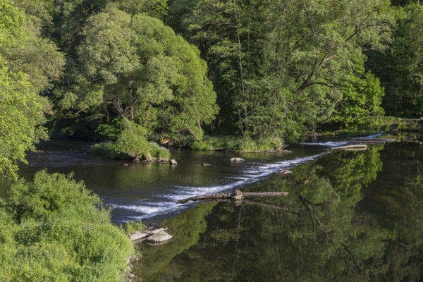 Thaya riverbanks. Hardegg is a small town in the district of Hollabrunn in Lower Austria, Austria. The Thaya valley is protected as a national park. On the Czech side is the Podyjí National Park