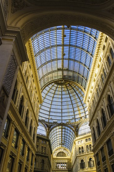 Galleria Umberto I, Naples, Campania, Italy, Europe