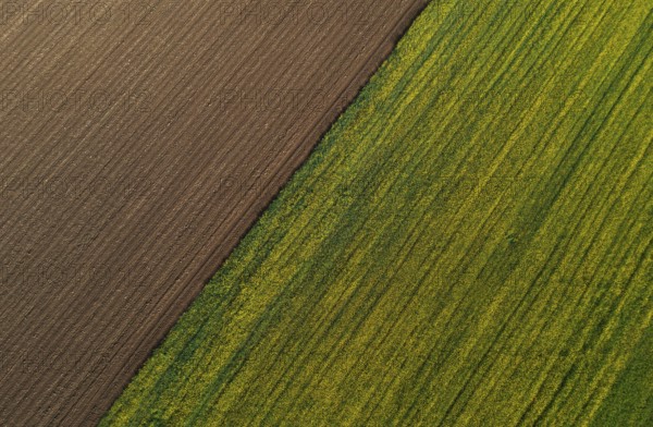 Drone view, green and ploughed fields, agricultural landscape, Innviertel, Upper Austria, Austria, Europe