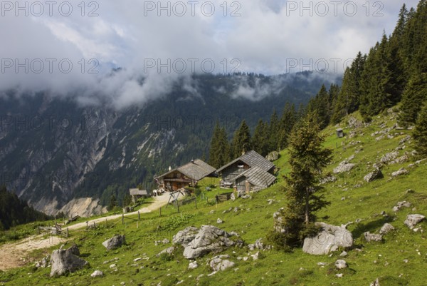 Angerkaralm, Russbach, Gamsfeld, Osterhorn group, Salzkammergut, Salzburg province, Austria, Europe