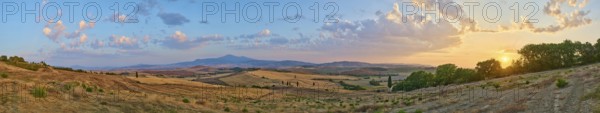 Typical Tuscan landscape in Val d'Orcia with hills, trees, fields, cypresses and farm road in autumn, sunset, gladiator film location, San Quirico d'Orcia, Val d'Orcia, Orcia Valley, UNESCO World Heritage Site, Siena Province, Tuscany, Italy, Europe