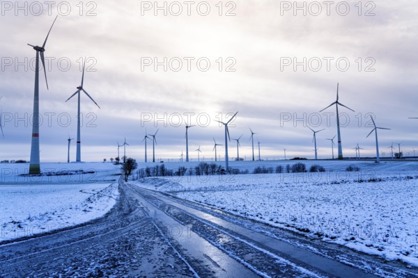 Wind farm, north of Lichtenau, self-proclaimed energy town, over 190 wind turbines and over 1200 solar panels generate 10 times as much electricity as the community of 11, 900 inhabitants consumes, largest onshore cluster of wind turbines in Germany, winter, slightly snow-covered landscape, North Rhine-Westphalia, Germany, Europe