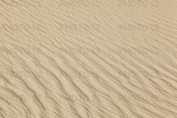 Close-up of sandy dunes with wave-like patterns and a warm, beige colour scheme, Sankt Peter-Ording, Schleswig-Holstein, Germany, Europe