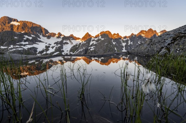 Rocky mountain peaks with reflection, small pond with cotton grass in moor landscape at Trollfjord Hytta, mountain landscape with alpenglow at sunrise, at Trollfjord, Lofoten and Vesterålen, Nordland, Norway, Europe