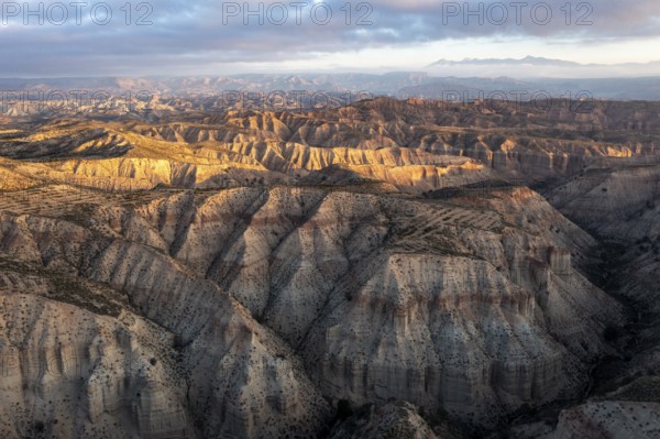 Sunrise, wide hilly desert landscape with dry vegetation, Gorafe desert, semi-desert, Granada, Andalusia, Spain, Europe