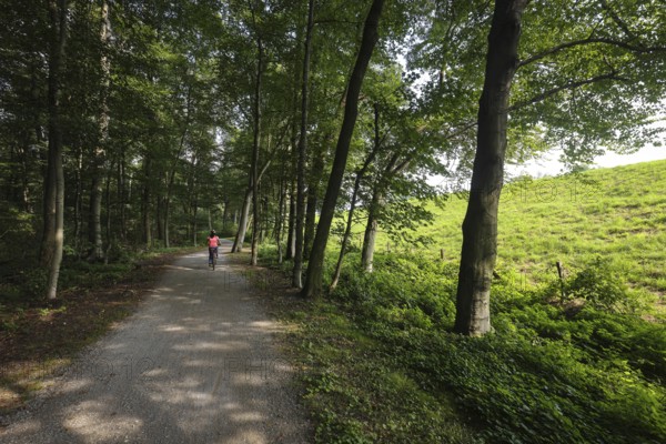 Bottrop, North Rhine-Westphalia, Germany - Cyclists ride on the Emscher-Weg, a cycle and footpath along the Emscher. The Emscher has been completely free of sewage since January 2022 following the construction of a parallel sewer. The river was previously an open, above-ground wastewater sewer, combined sewer with surface water and wastewater