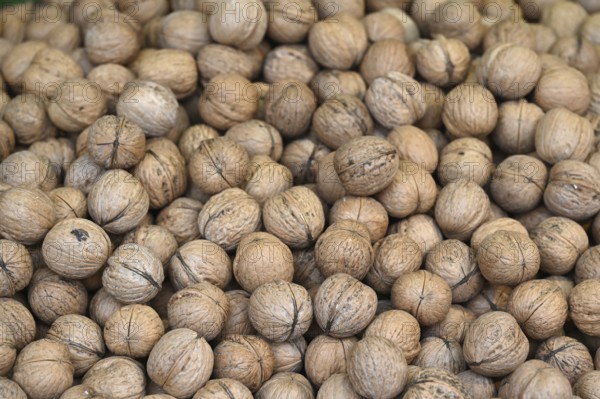 Walnuts (Juglans) at a vegetable stand, Bavaria, Germany, Europe