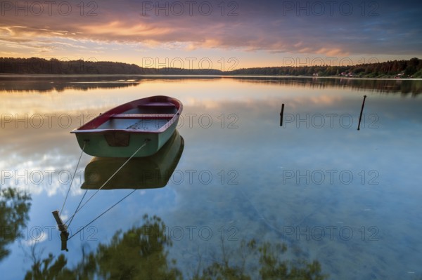 Quiet lake at sunrise, rowing boat moored in the water, Wutzsee, Lindow, Brandenburg, Germany, Europe