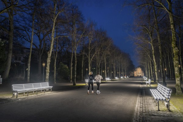 The light benches by artist Stefan Sous in the Hofgarten, entitled UV-A UV-B, 14 completely refurbished exhibits from the 2002 light-grey art exhibition, which now stand and light up as a permanent work of art on Jägerhofallee, LED technology, in the background Jägerhof Palace, home of the Goethe Museum, Düsseldorf, North Rhine-Westphalia, Germany, Europe