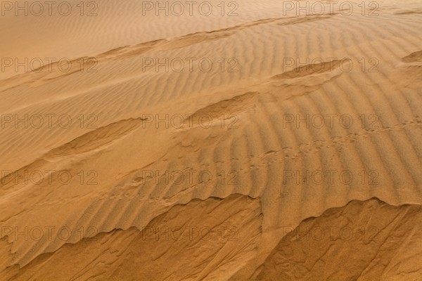 Structures in the sand, Sossusvlei, Namib Desert, Namibia, Africa