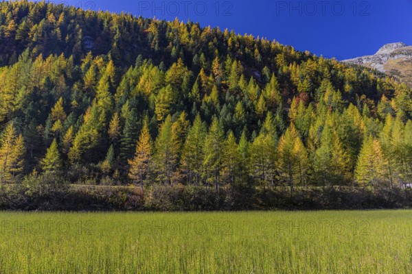 Little pond of the Malta river with a mountain forest in fall foliage on a bright sunny morning. Seen from the Malta Hochalm road. Carithia, Austria, Europe