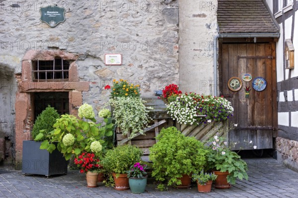 Colourful flowers in flower pots at the entrance to the witches' tower, dungeon, dungeon, torture chamber in the Middle Ages, idyll, Babenhausen, Hesse, Germany, Europe