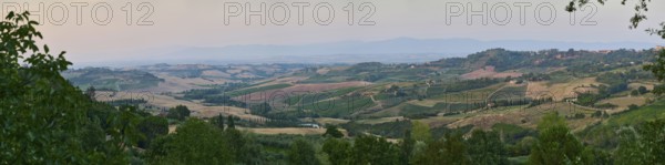 Typical viw of the Tuscan landscape in Val d'Orcia with hills, trees, fields, cypresses and farm houses in summer, Montepulciano, Tuscany, Italy, Europe