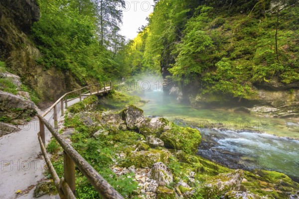 Breathtaking scenery of vintgar gorge with wooden walkway along radovna river near bled, slovenia, in summertime