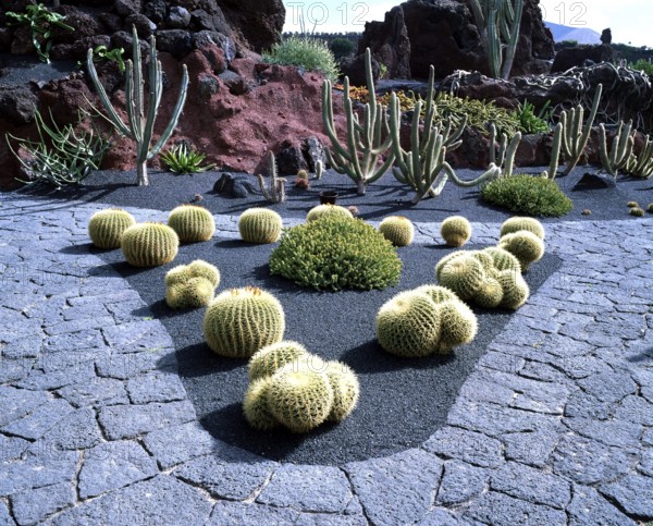 Cactus (Cactaceae) Garden, Lanzarote, Canary Islands, Spain, cactus garden Canary Islands, cacti, cactus, landscape, horizontal, path, path, Spain, Europe