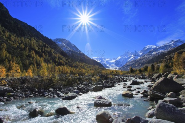 Mountain stream, larch forest, Piz Palü, 3905 m, Piz Bernina, 4049 m, Biancograt, Morteratsch glacier, Upper Engadine, Grisons, Switzerland, Europe