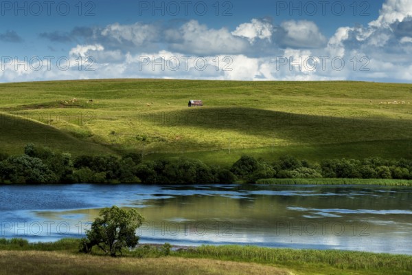 Lake of La Godivelle (lac d'en bas), plateau of Cezallier, Regional Nature Park of Volcans d'Auvergne, Puy de Dome, Auvergne, France, Europe