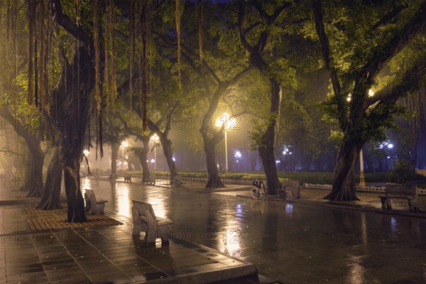 Guangzhou People's Park with mist fog at night. Guangzhou, China, Asia