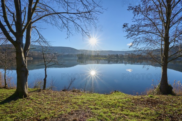 Lake with trees at sunrise, Freudenberg am Main, Untermain, Spessart, Odenwald, Franconia, Baden-Württemberg, Germany, Europe