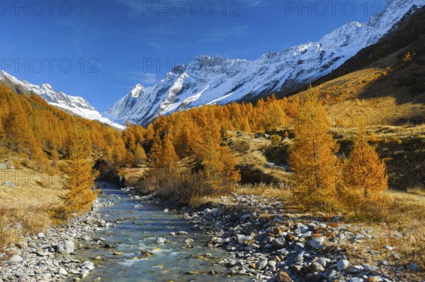 River Lonza with Aletschhorn and Schinhorn, Valais, Switzerland, Lötschenlücke, Lötschenlücke, Europe