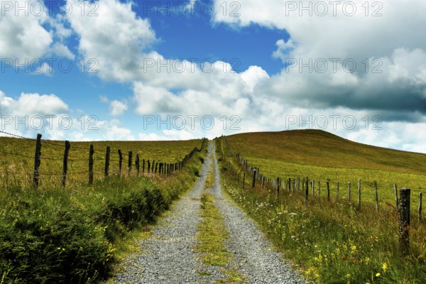 Path in Cezallier plateau, Auvergne volcanoes regional natural park, Puy de Dome department, Auvergne-Rhone-Alpes, France, Europe