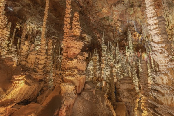 The Aven Armand chasm 100 meters underground where the largest known stalagmite in the world is 30 meters high. Hures-la-parade, Lozere, France, Europe