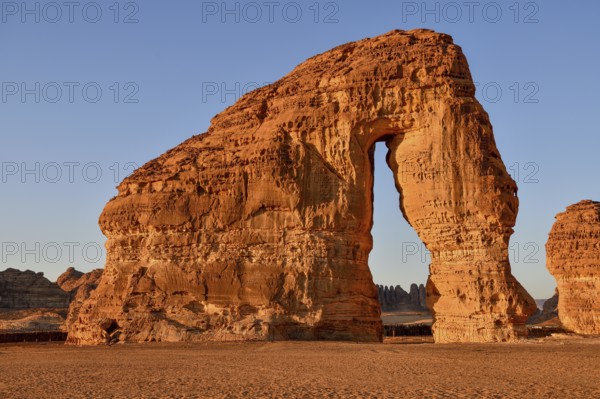 Elephant Rock or Elephant Rock in First Daylight, AlUla, Medina Province, Saudi Arabia, Arabian Peninsula, Asia