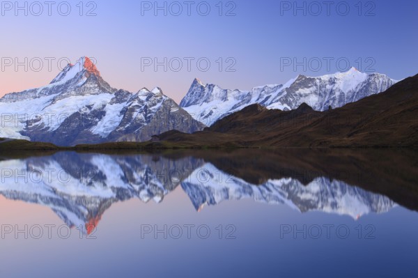 Bachalpsee, Schreckhorn, 4078 m, Finsteraarhorn, 4274 m, Bernese Oberland, Switzerland, Alpenglühen, Europe