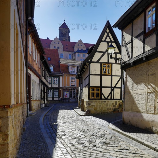 Half-timbered houses in Finkenherd with Schlossberg, alley in the old town centre of the World Heritage town of Quedlinburg, Saxony-Anhalt, Germany, Europe