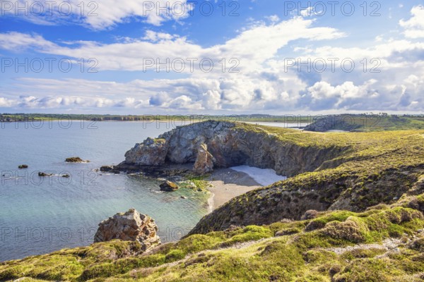 Awesome view at a rocky coastline with a sea bay and heath landscape a sunny summer day, Crozon peninsula, Bretagne, France, Europe