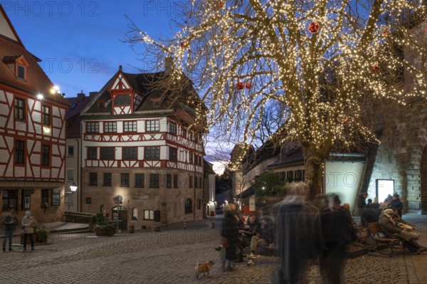 Albrecht Dürer House with tree of lights in the evening at Christmas time, Tiergärtnertorplatz, Nuremberg, Middle Franconia, Bavaria, Germany, Europe
