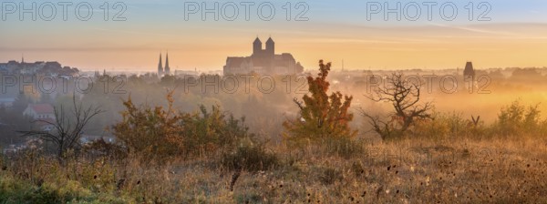 Panorama of Quedlinburg at sunrise, view of the castle hill with the collegiate church of St. Servatius in fog and morning light, UNESCO World Heritage Site, Quedlinburg, Saxony-Anhalt, Germany, Europe