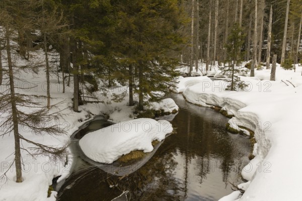 Lake Grosser Arbersee in late winter. The lake and the adjacent forest are snow covered. Germany, Bavaria, Bavarian Forest National Park