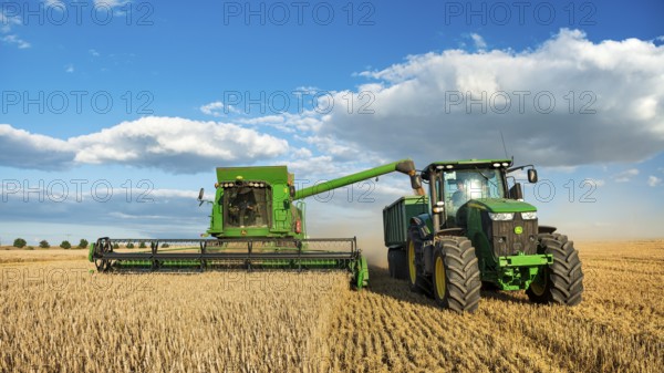 Combine harvester harvesting wheat and unloading grain onto tractor with trailer, endless cornfield, blue sky with cumulus clouds, Saalekreis, Saxony-Anhalt, Germany, Europe