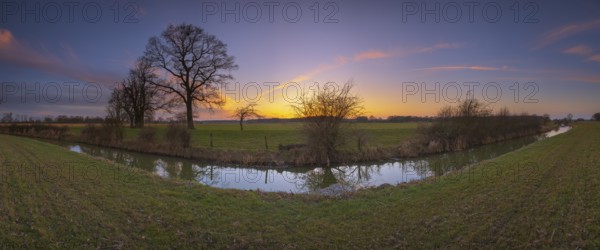 View over a ditch to non-leafy trees in the sunset, Panorama, Kirchlinteln, Verden, Aller Leine Valley, Lower Saxony, Germany, Europe
