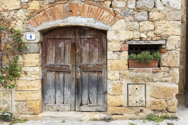 Quarry stone wall with old wooden door and house number 6, rosemary in a flower box, in the historic centre of Monteriggioni, province of Siena, Tuscany, Italy, Europe