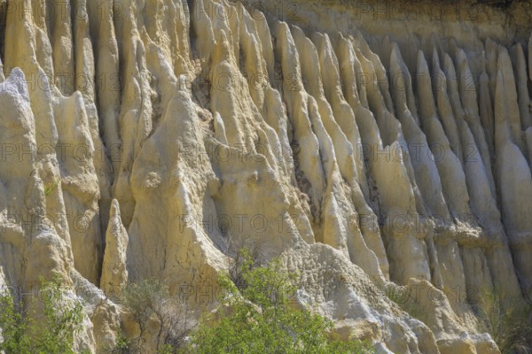 Detail of the sandstone cliffs of Les Orgues Ille-sur-Têt, Centre Ville Nord-Ouest, Département Pyrénées-Oriental, France, Europe