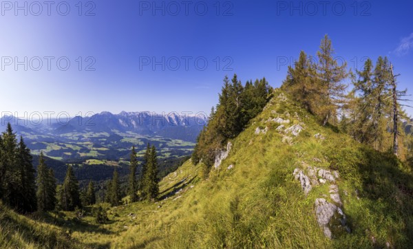 Mountain forest on the way to the Einberg with a view of the Lammertal and Tennengebirge, Postalm, Osterhorngruppe, Salzkammergut, Salzburg province, Austria, Europe